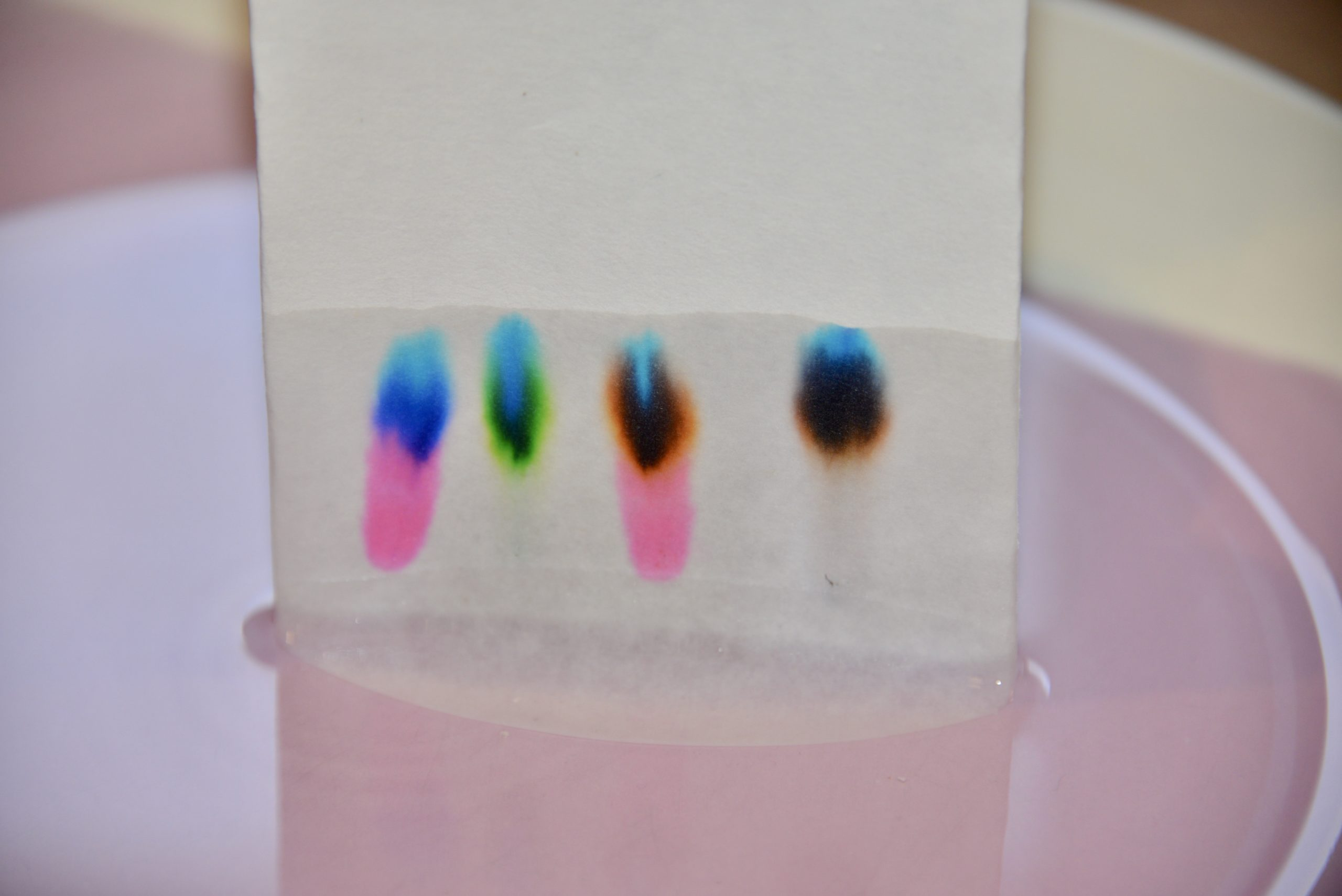 Results of paper chromatography