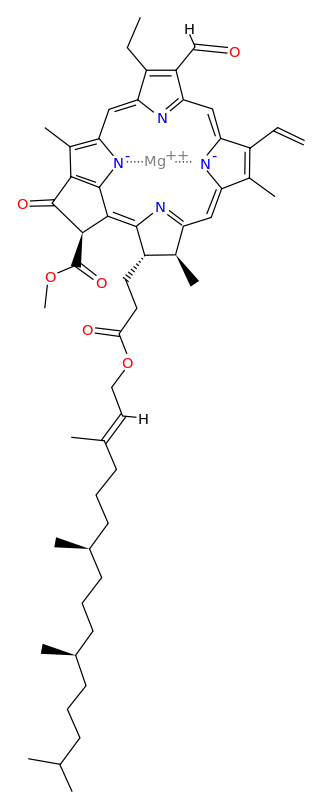 Molekula chlorofylu B