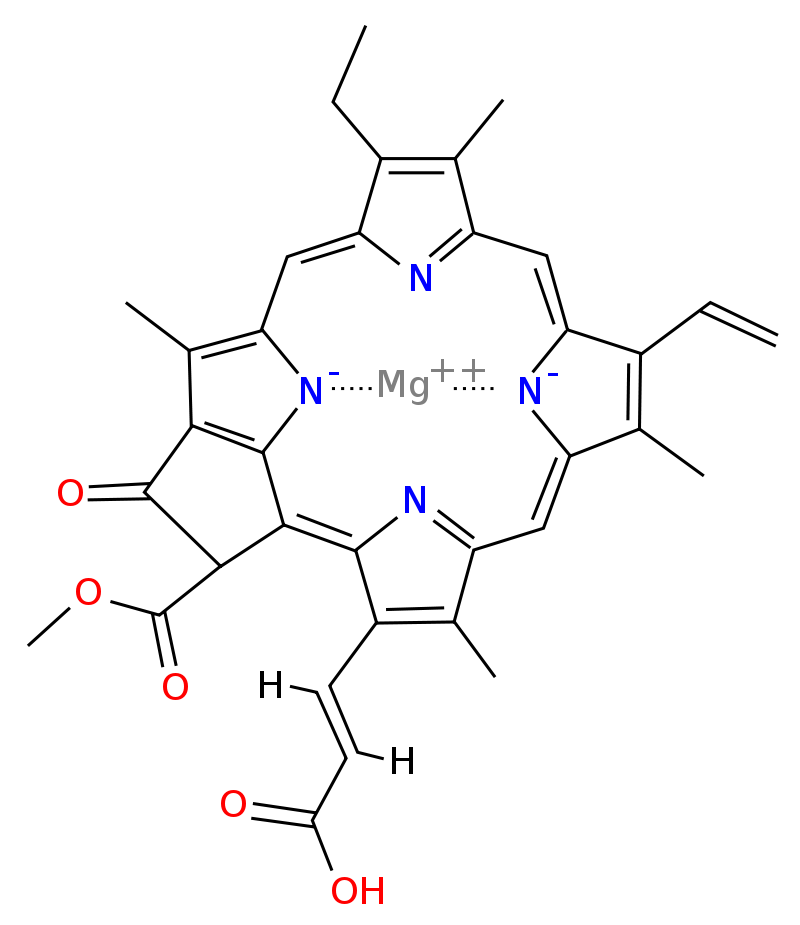 Molekula cholorofylu C
