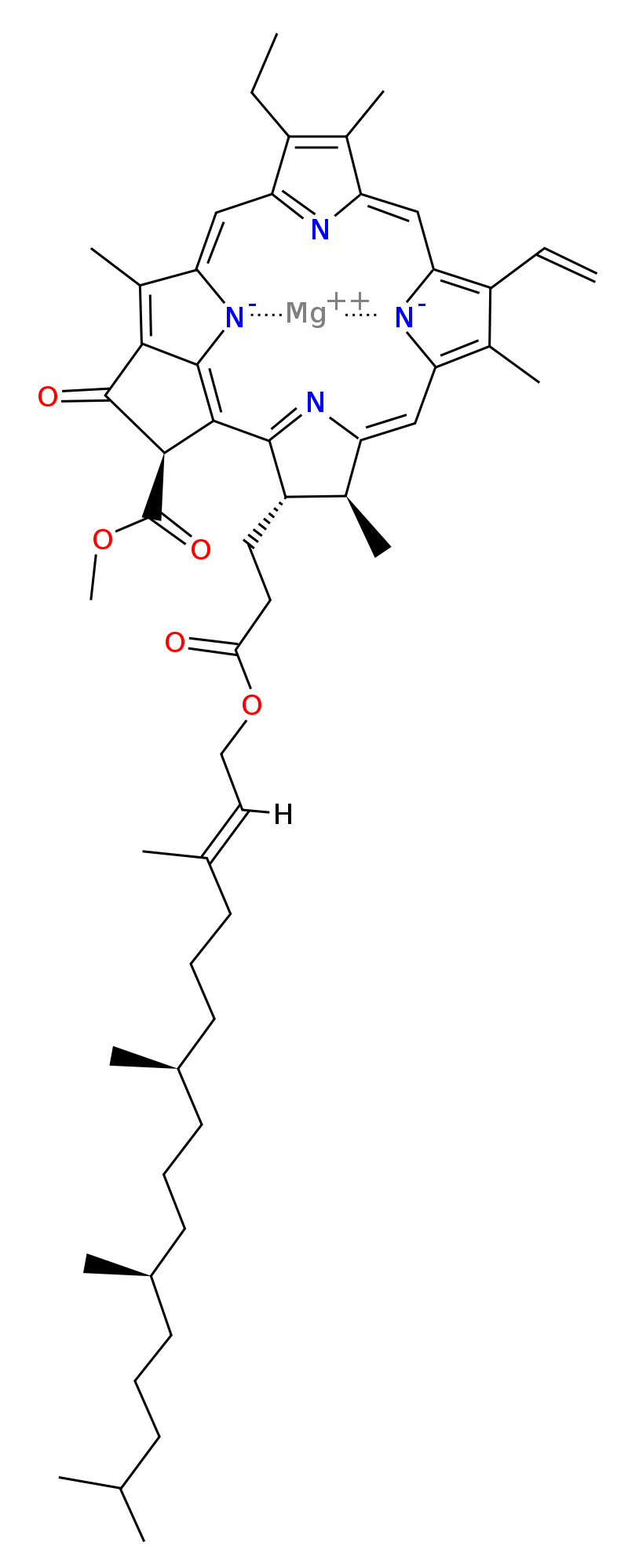 Molekula chlorofylu A