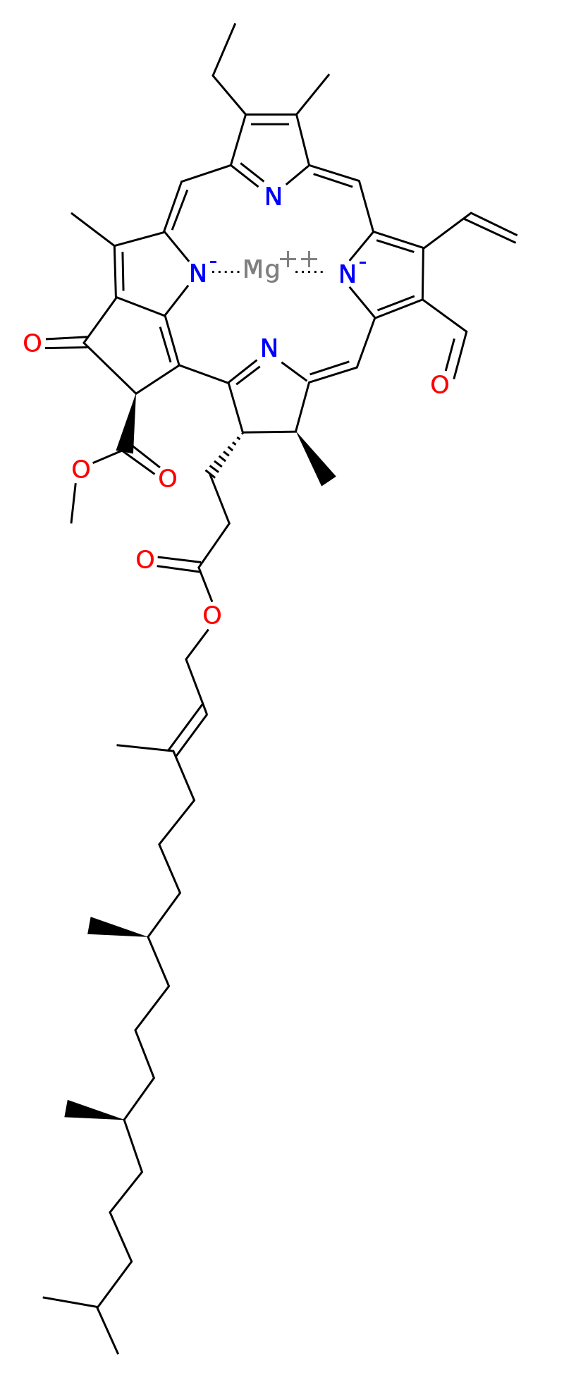 Molekula chlorofylu F