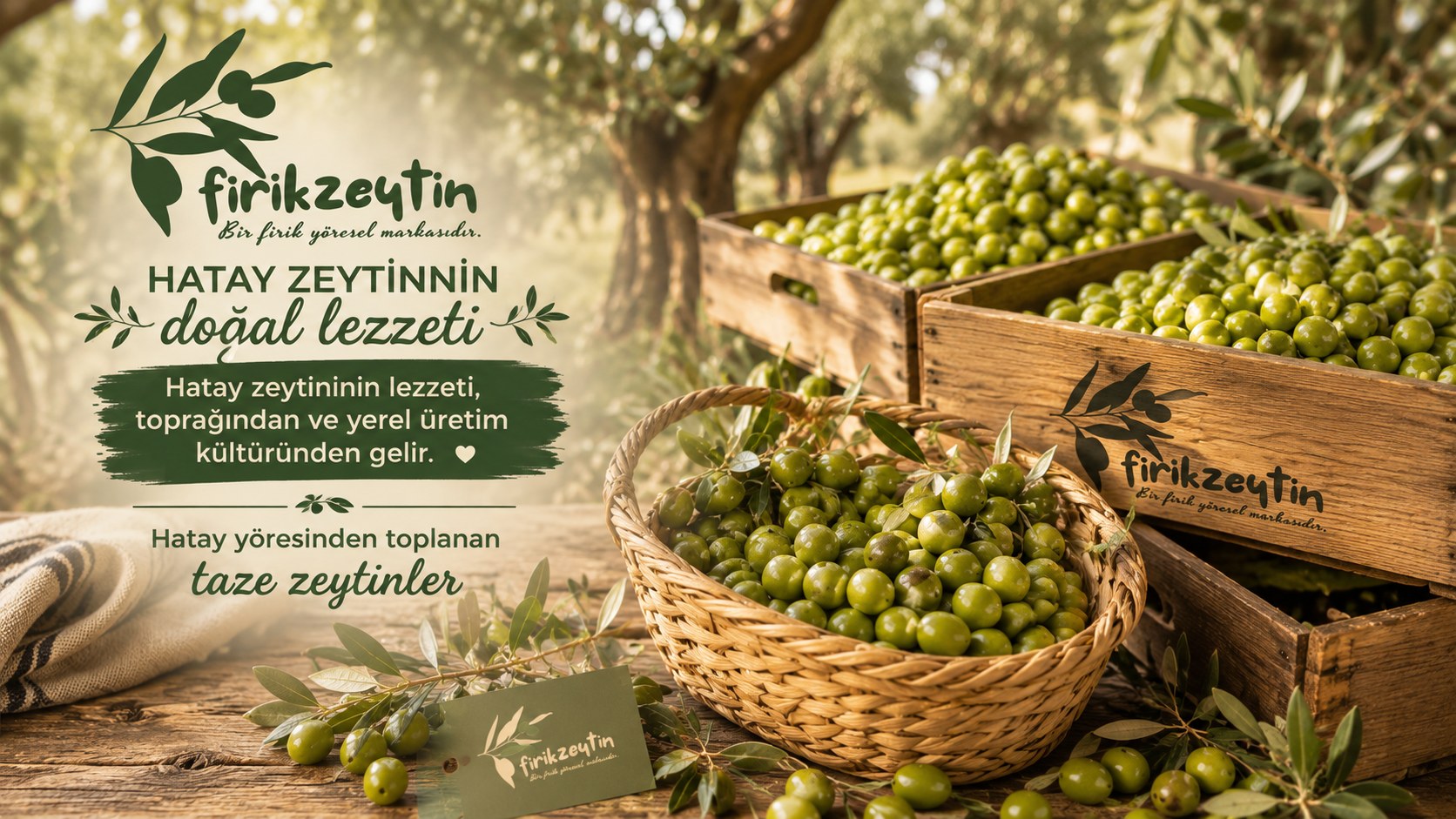  Hatay yöresinden toplanan taze zeytinler