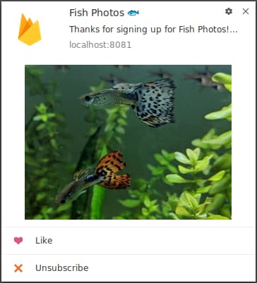notificationimage1
