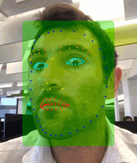 facial-contour