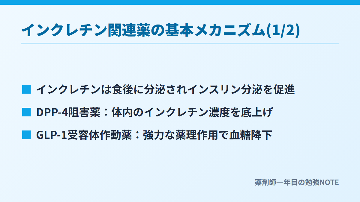 インクレチン関連薬の基本メカニズム(1/2)