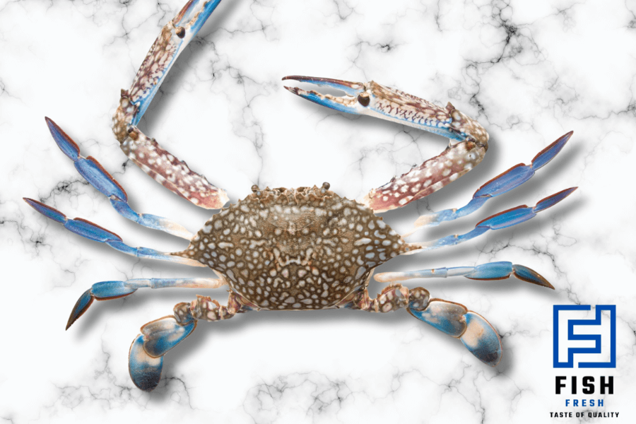crab blue