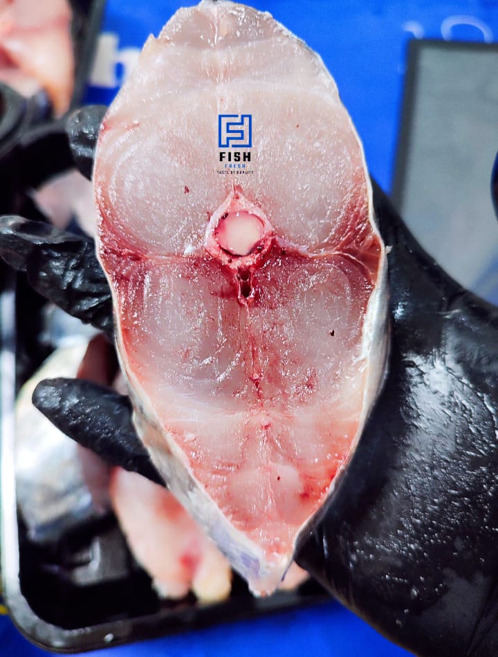 Scomberomorous commerson