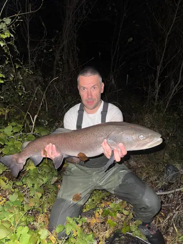 Guest catch during a guided fishing session on the Lim