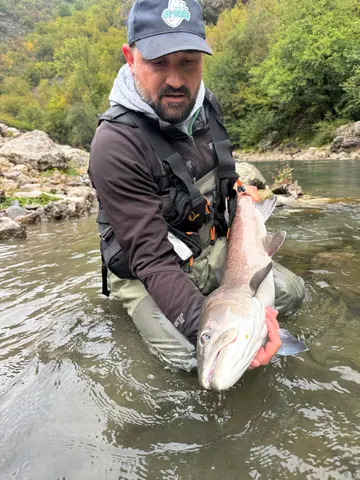 Guest catch during a guided fishing session on the Lim