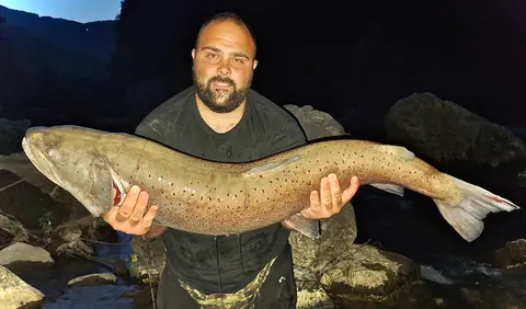 Wild Lim Catch guided fishing and the Lim river