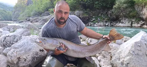 Wild Lim Catch guided fishing and the Lim river