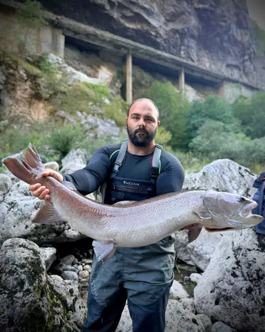 Wild Lim Catch guided fishing and the Lim river