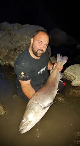 Wild Lim Catch guided fishing and the Lim river