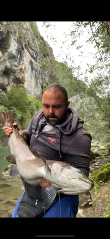 Wild Lim Catch guided fishing and the Lim river