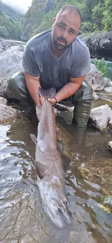 Wild Lim Catch guided fishing and the Lim river