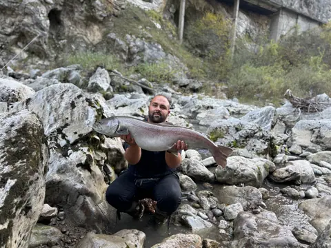 Wild Lim Catch guided fishing and the Lim river