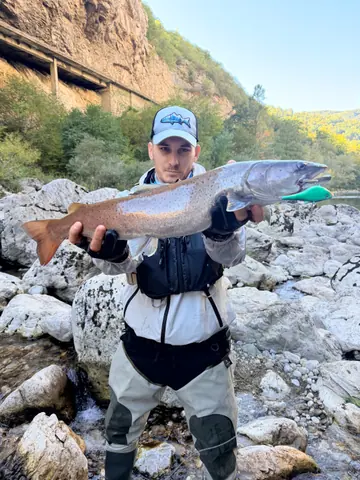 Guest catch during a guided fishing session on the Lim