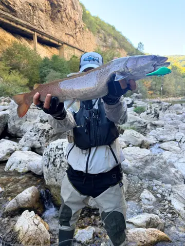 Guest catch during a guided fishing session on the Lim
