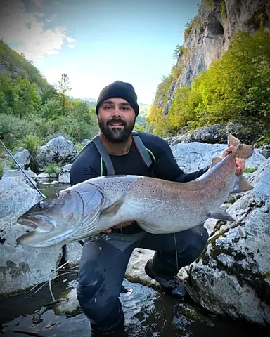 Wild Lim Catch guided fishing and the Lim river