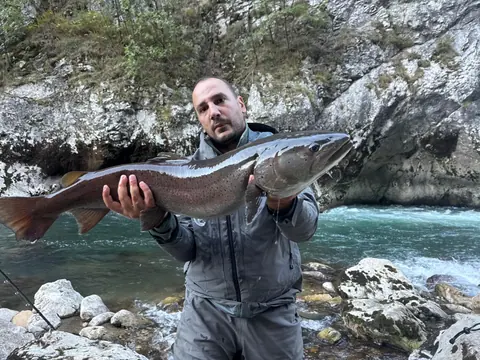 Guest catch during a guided fishing session on the Lim river in Montenegro