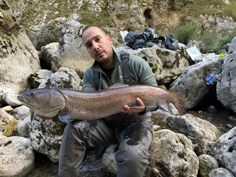 Guest catch during a guided fishing session on the Lim river in Montenegro