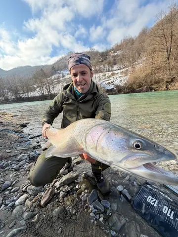 Guest catch during a guided fishing session on the Lim river in Montenegro