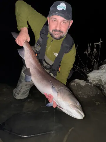 Guest catch during a guided fishing session on the Lim river in Montenegro