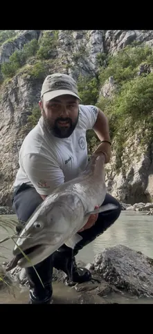 Wild Lim Catch guided fishing and the Lim river