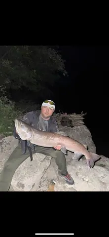 Guest catch during a guided fishing session on the Lim river in Montenegro