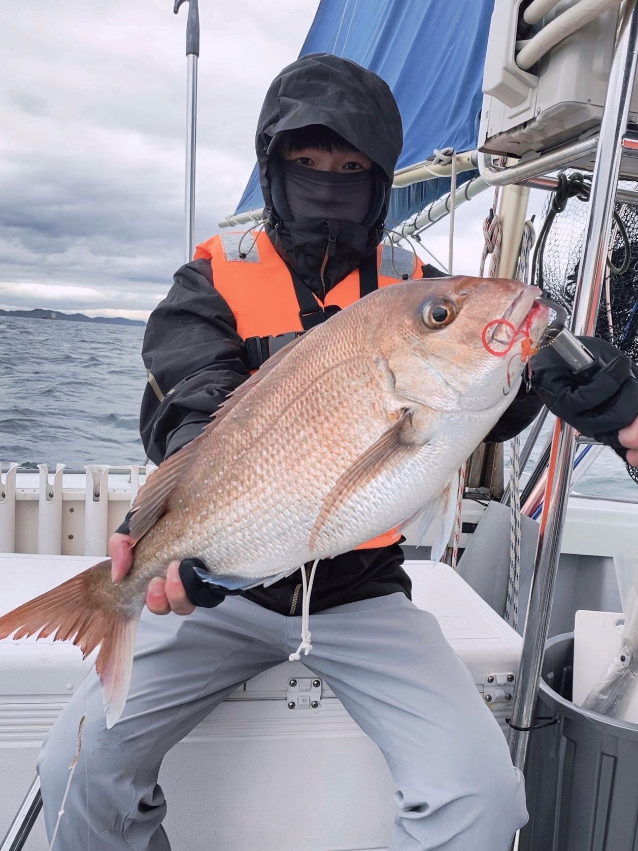 紅鱲（真鯛，Pagrus major）釣友公開魚獲照