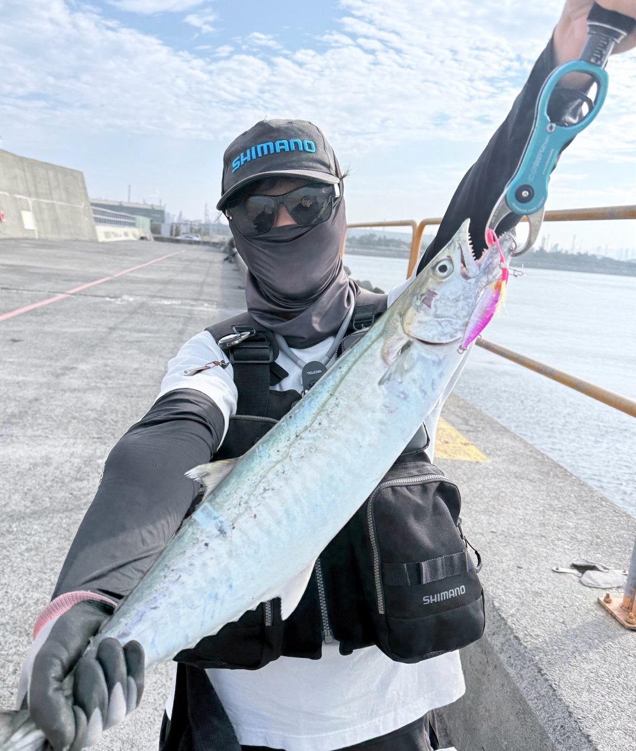 竹鮫（康氏馬加鰆，Scomberomorus commerson）釣友公開魚獲照