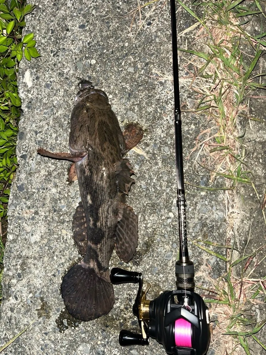 臺南迎曦湖的紀錄。