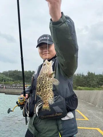 新北市麟山鼻漁港的瑪拉巴石斑魚,2025 年 12 月釣友實拍