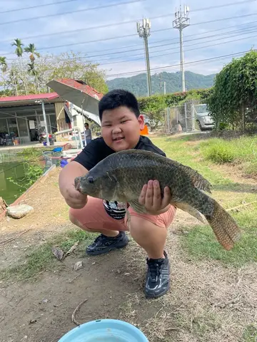 莫三比克口孵非鯽,2026 年 2 月釣友釣魚Q寶的實拍照片