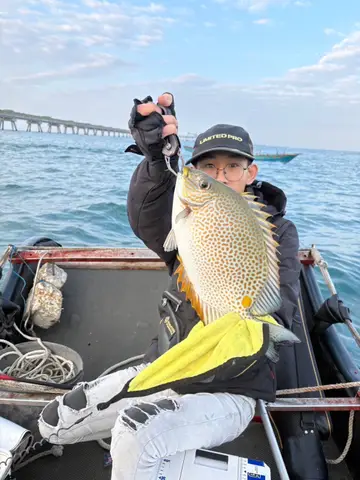 星斑臭肚魚，2026 年 1 月釣友沒多會釣的實拍照片
