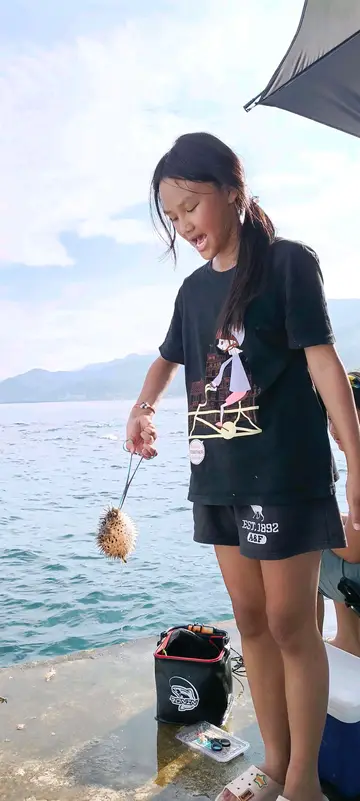 宜蘭縣蕃薯寮漁港的斑點多紀魨，2026 年 5 月釣友實拍