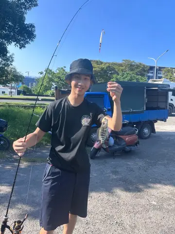 宜蘭縣冬山河出海口的花身副麗魚，2026 年 6 月釣友實拍