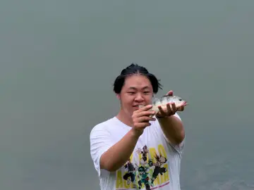 高雄市美濃湖的眼點麗魚，2026 年 7 月釣友實拍