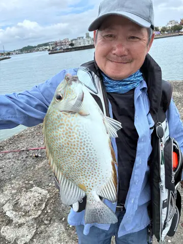 高雄市彌陀漁港的星斑臭肚魚，2026 年 7 月釣友實拍