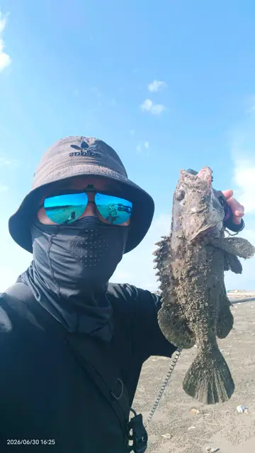 嘉義縣布袋漁港的瑪拉巴石斑魚,2026 年 6 月釣友實拍