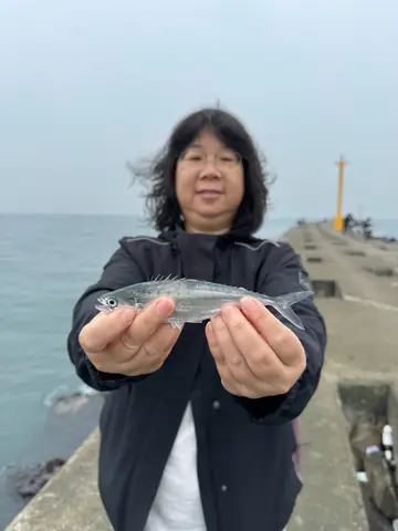 屏東縣大鵬灣的托爾逆鈎鰺，2025 年 1 月釣友實拍