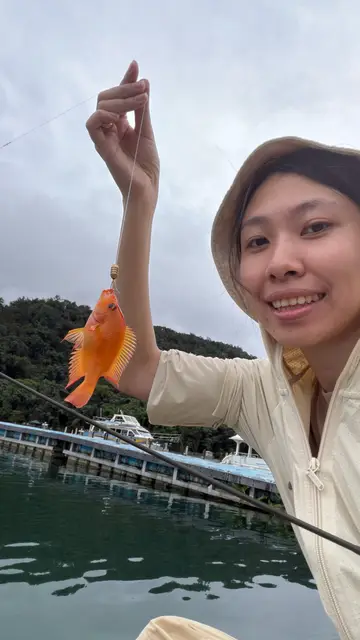 南投縣日月潭的厚唇雙冠麗魚，2026 年 8 月釣友實拍