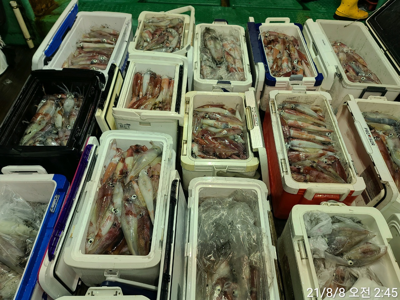 media&amp;token=08115e07-1328-4f98-89d9-76af776fb914