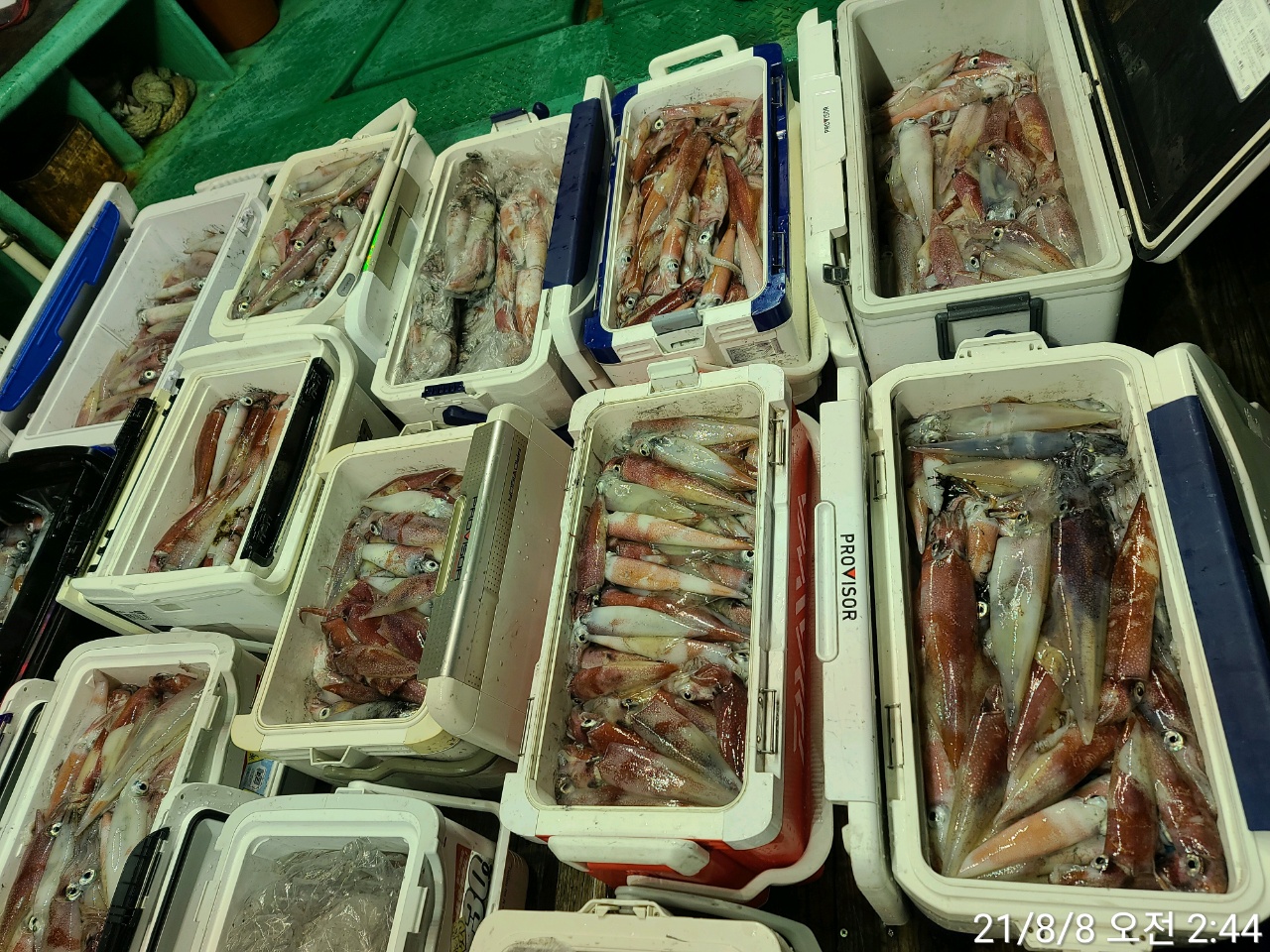 media&amp;token=7ec64181-b0f9-43ac-942c-0808746e4a99