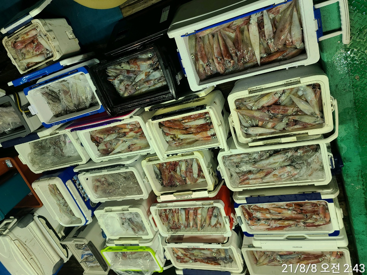 media&amp;token=7832fdf6-d4d2-477a-9de7-90d3669a8112