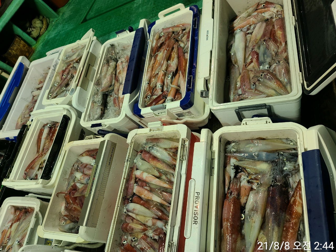 media&amp;token=085894f9-36aa-42cc-8e6a-a096ed7e821a