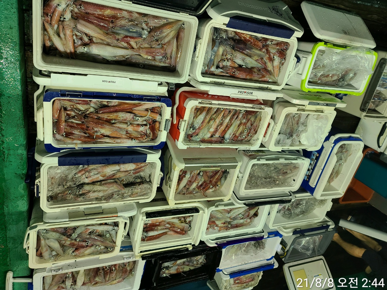 media&amp;token=2a0c523c-a104-452a-aeed-1b84e872b677