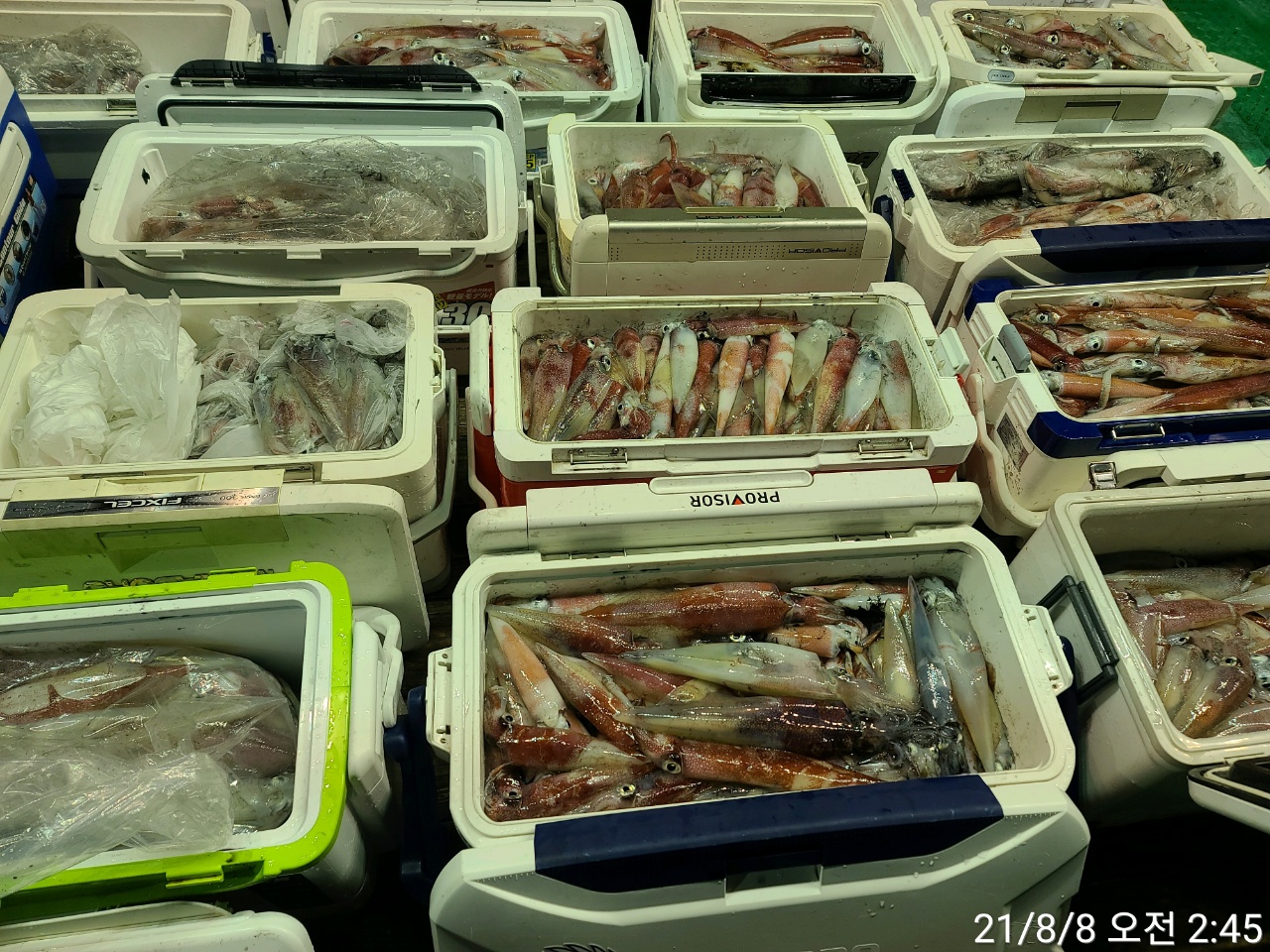 media&amp;token=3b556167-45e4-40b7-9b29-fb3a33eb2bf6