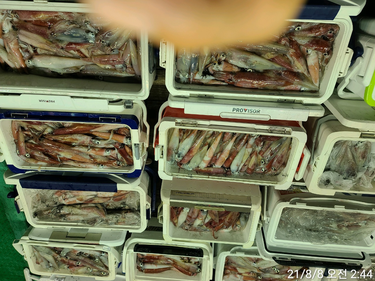 media&amp;token=054235d6-5f8d-4c42-bcd7-401da7fe7b4b