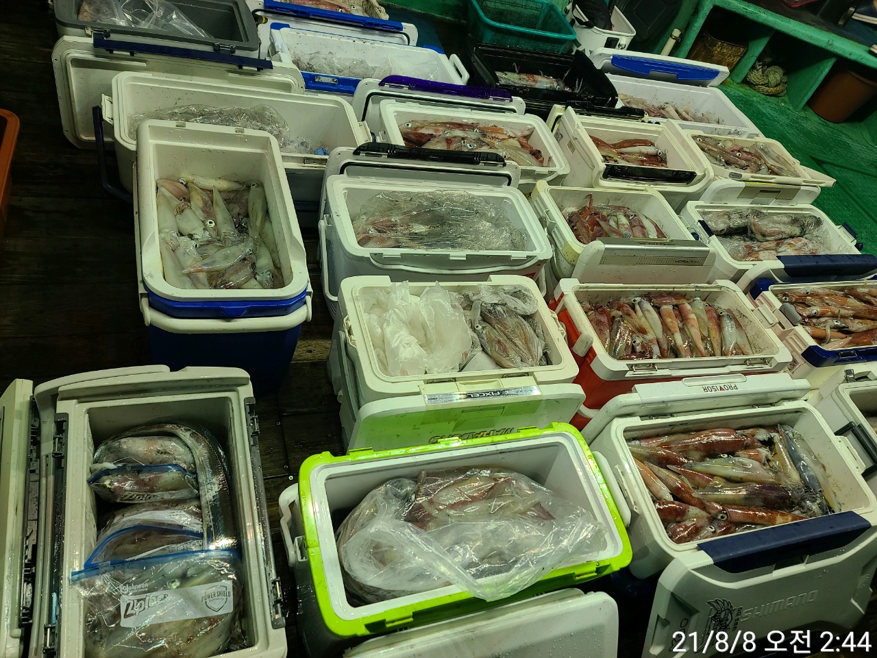 media&amp;token=fd1f7391-8b31-4f1e-b22b-006fa23e3f3e